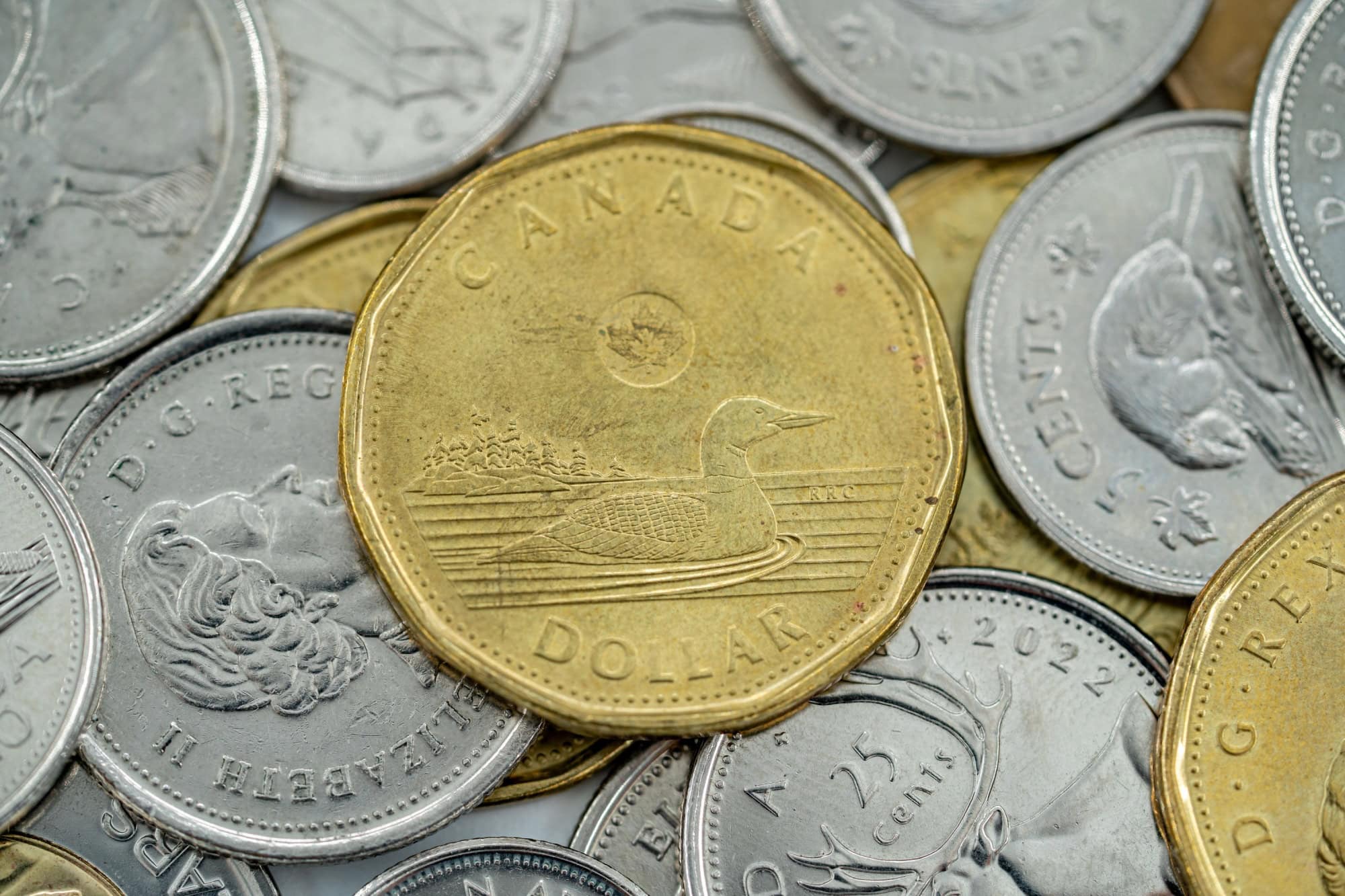 Close up of Canadian one dollar coin with loon bird design.