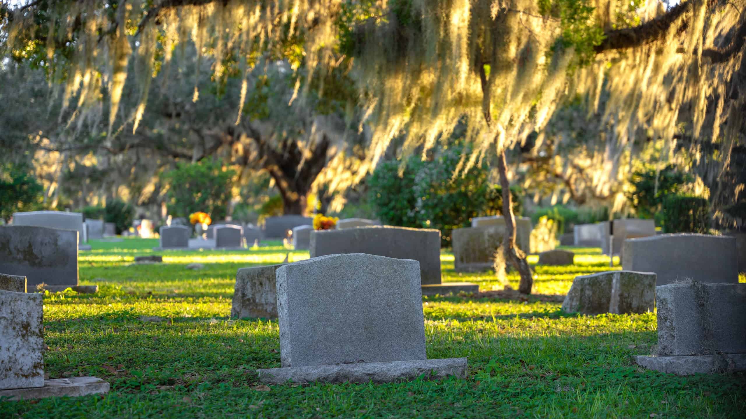 Graveyard burial place with many tombstones at sunset. Cemetery under southern oak trees on green grass in Orlando, Florida