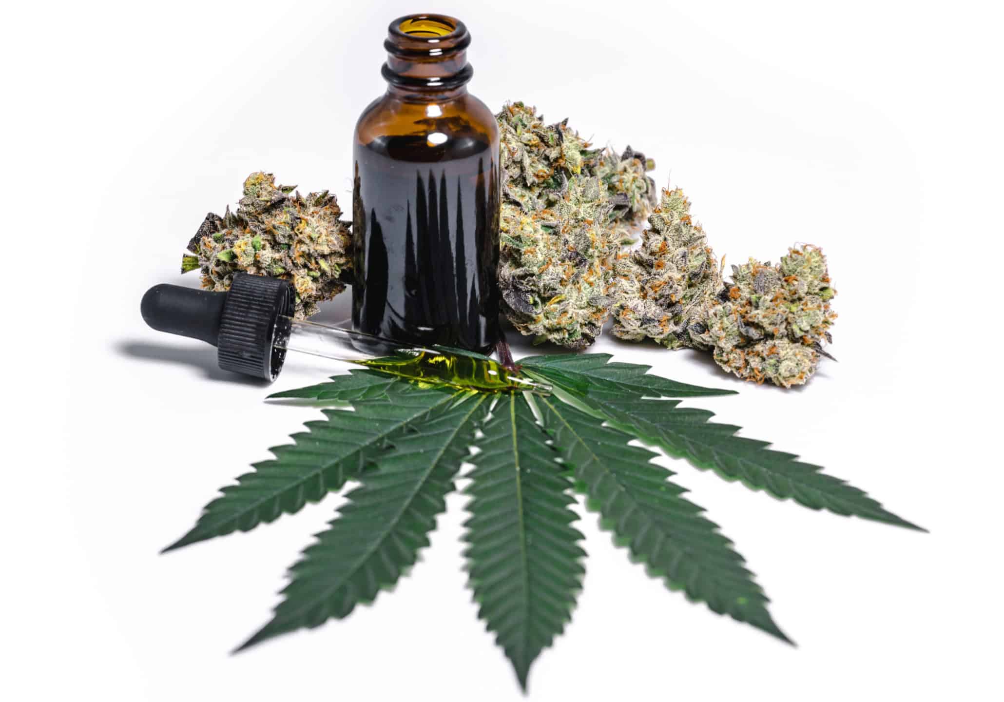Medical Cannabis with CBD Oil Leaves and Marijuana Buds White Isolated