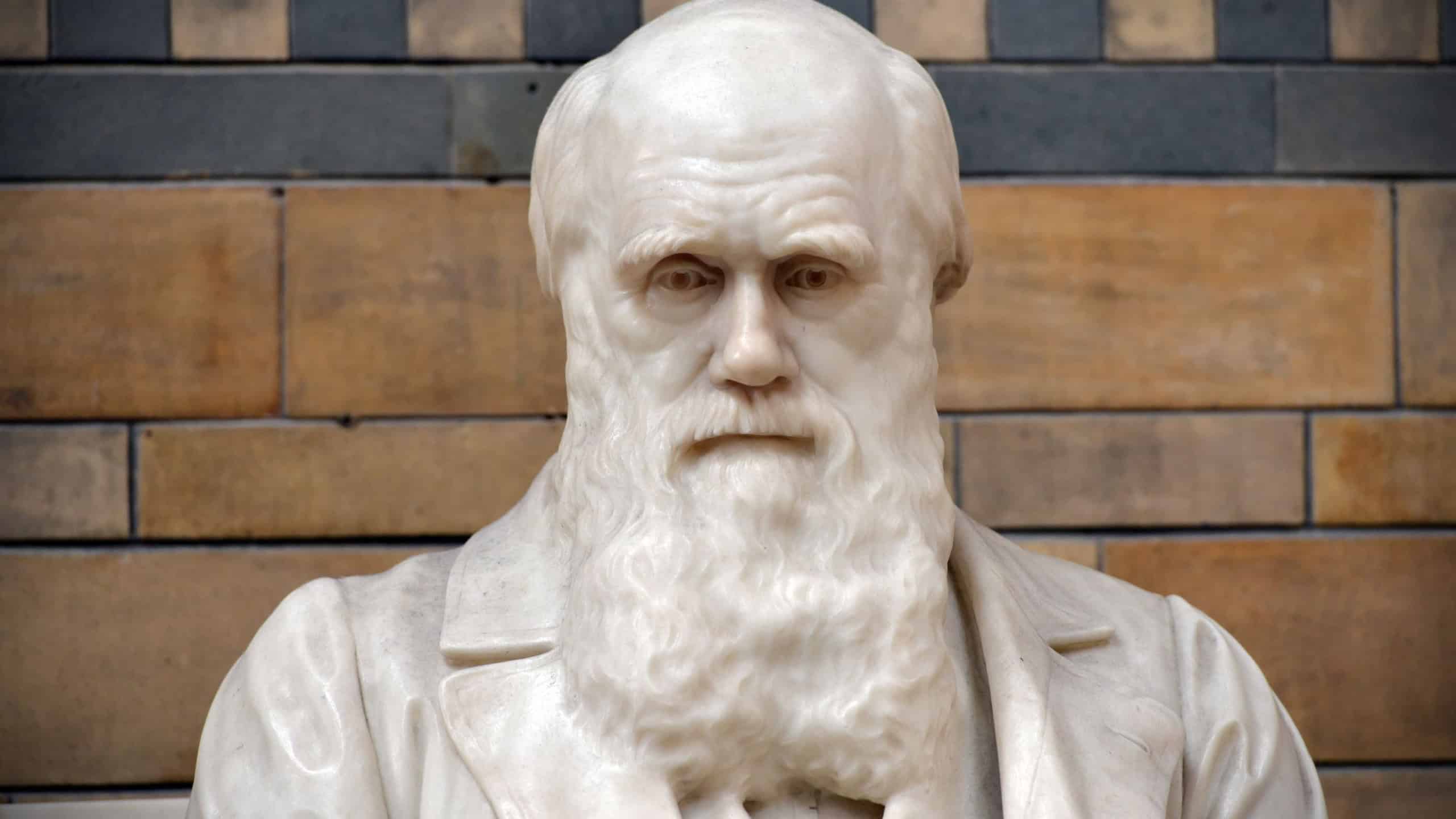 London, UK - June 16, 2015: A statue of Charles Darwin sits in the Natural History Museum.
