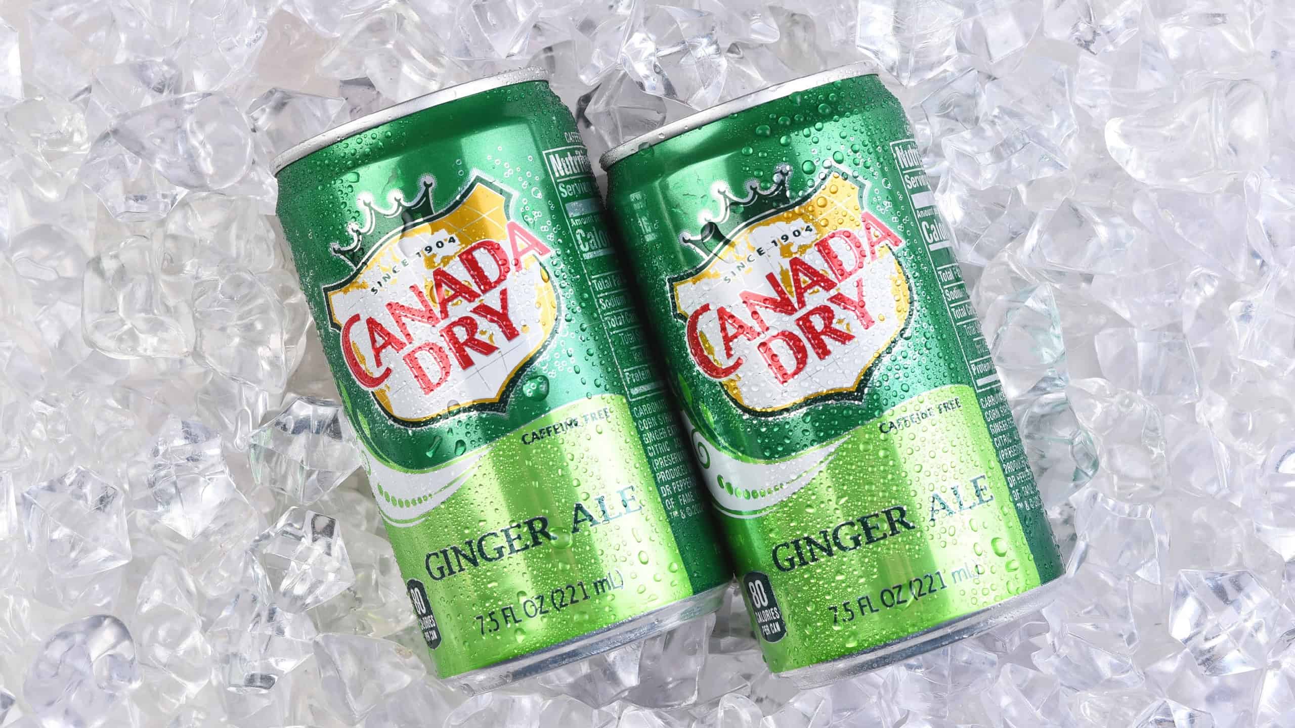 IRVINE, CALIFORNIA - 18 FEB 2024: Two cans of Canada Dry Ginger Ale mini cans on a bed of ice.