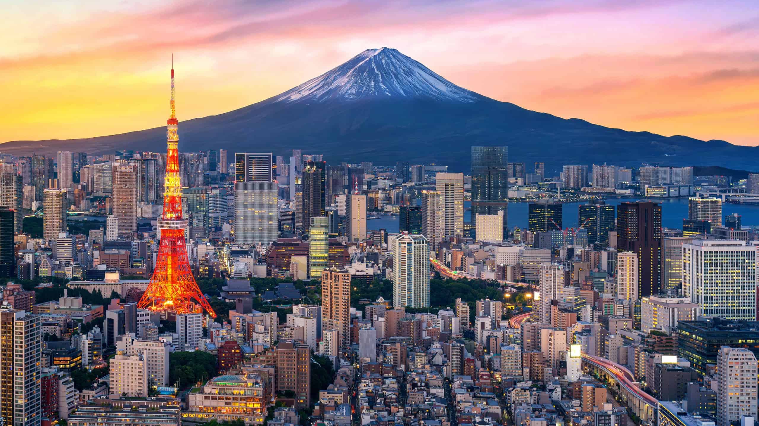 Aerial view of Tokyo cityscape with Fuji mountain in Japan.