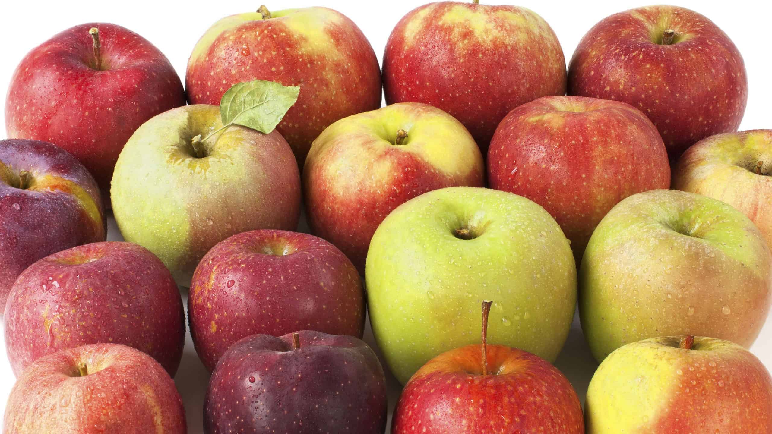 Fresh-picked apples