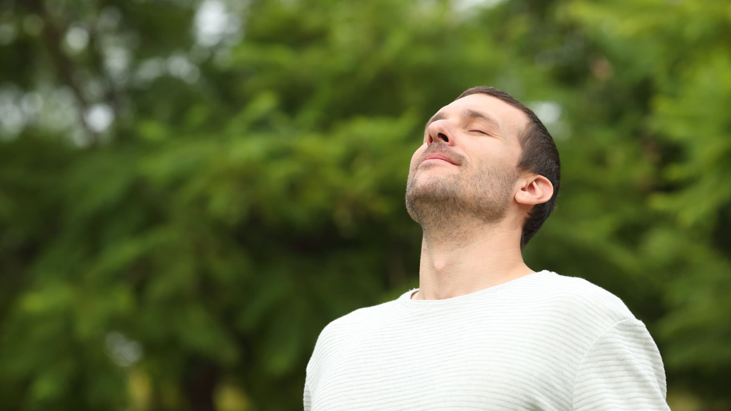 Relaxed adult man breathing fresh air in a forest with green trees in the background