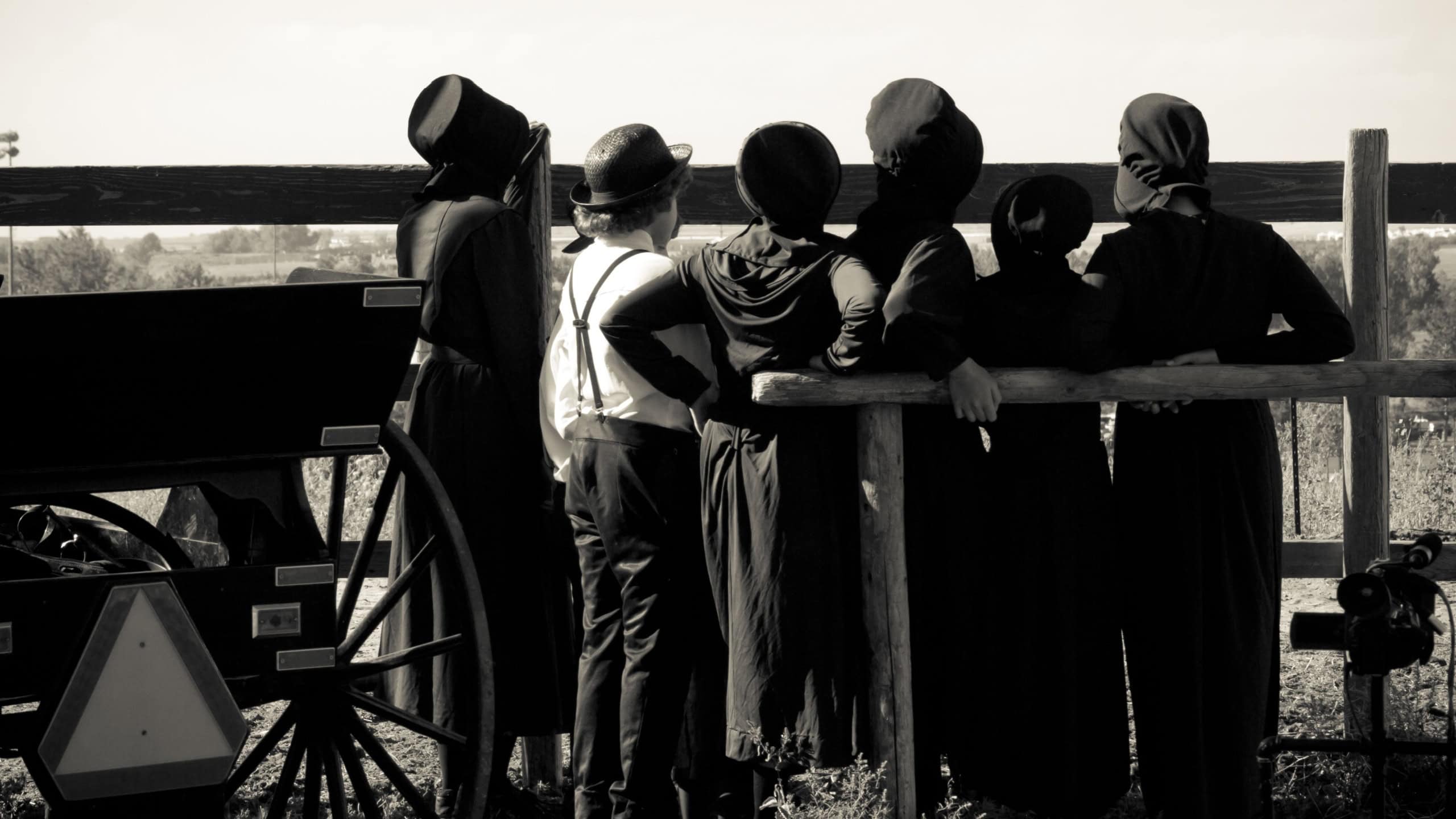 Amish children on the farm.
