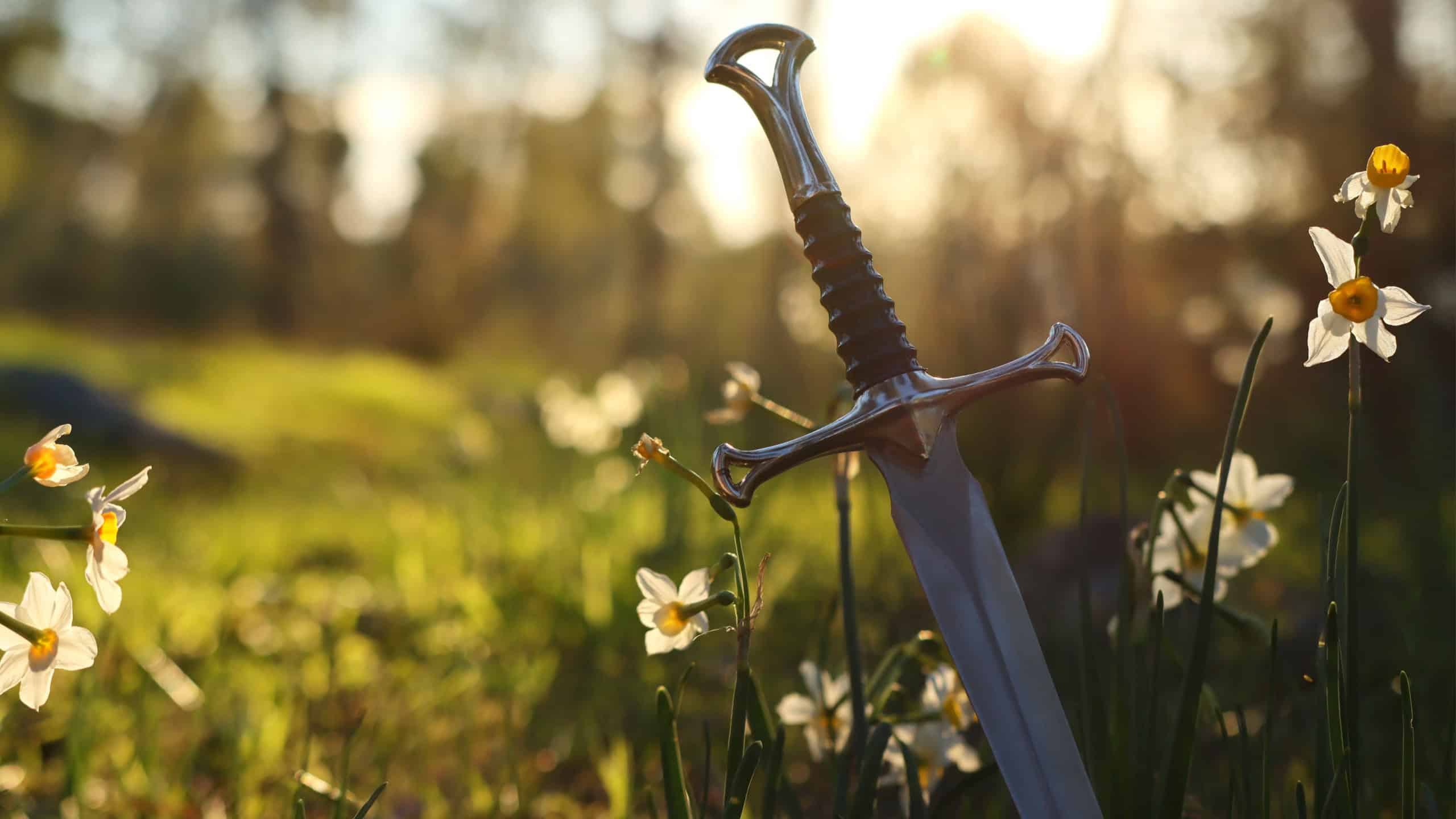 mysterious and magical photo of silver sword in the England woods and light flare. Medieval period concept