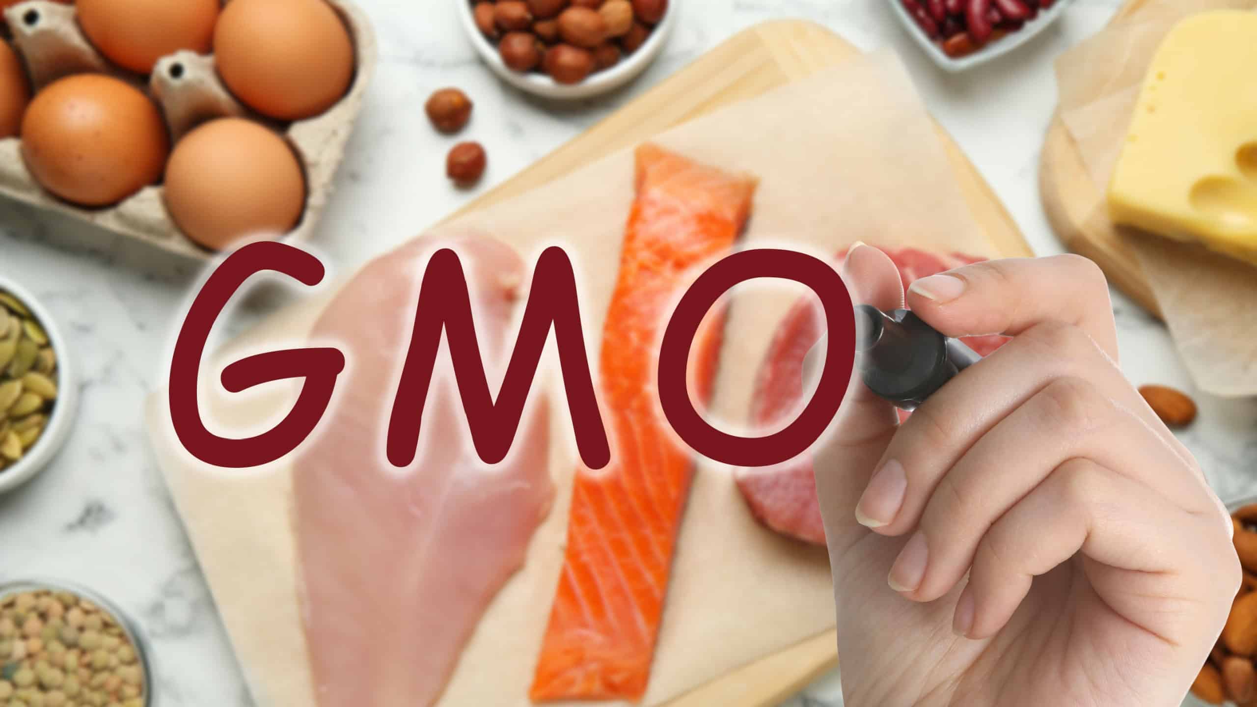 GMO concept. Closeup view of woman with different fresh products on table
