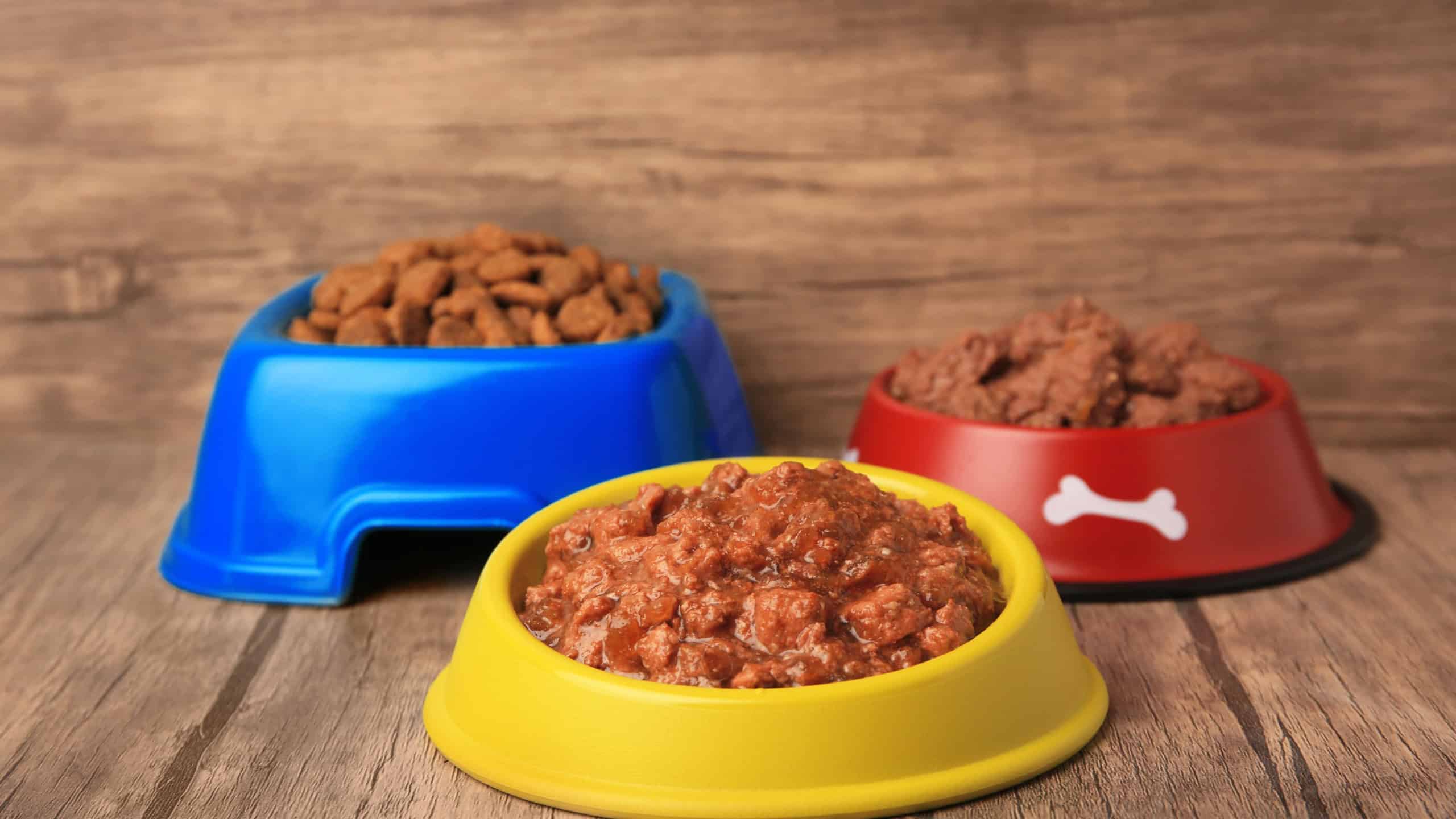 Dry and wet pet food in feeding bowls on wooden floor