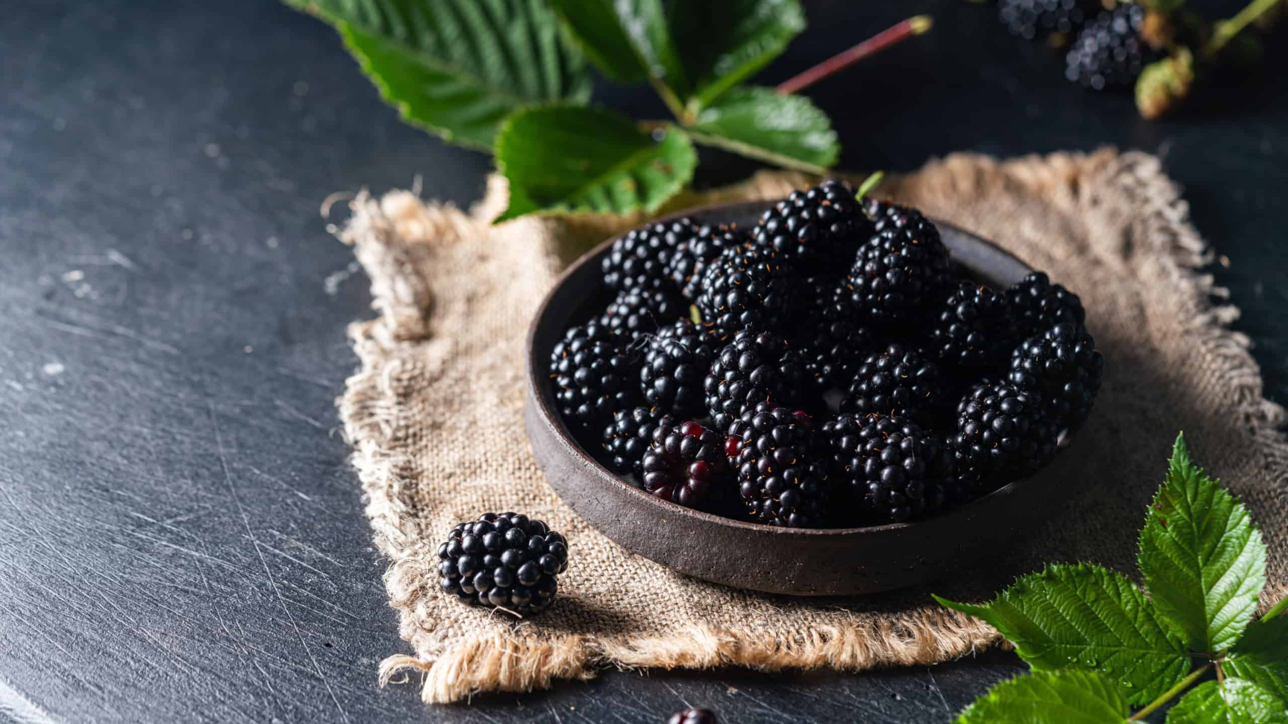 Ripe blackberries with leaves in a bowl on a dark rustic background