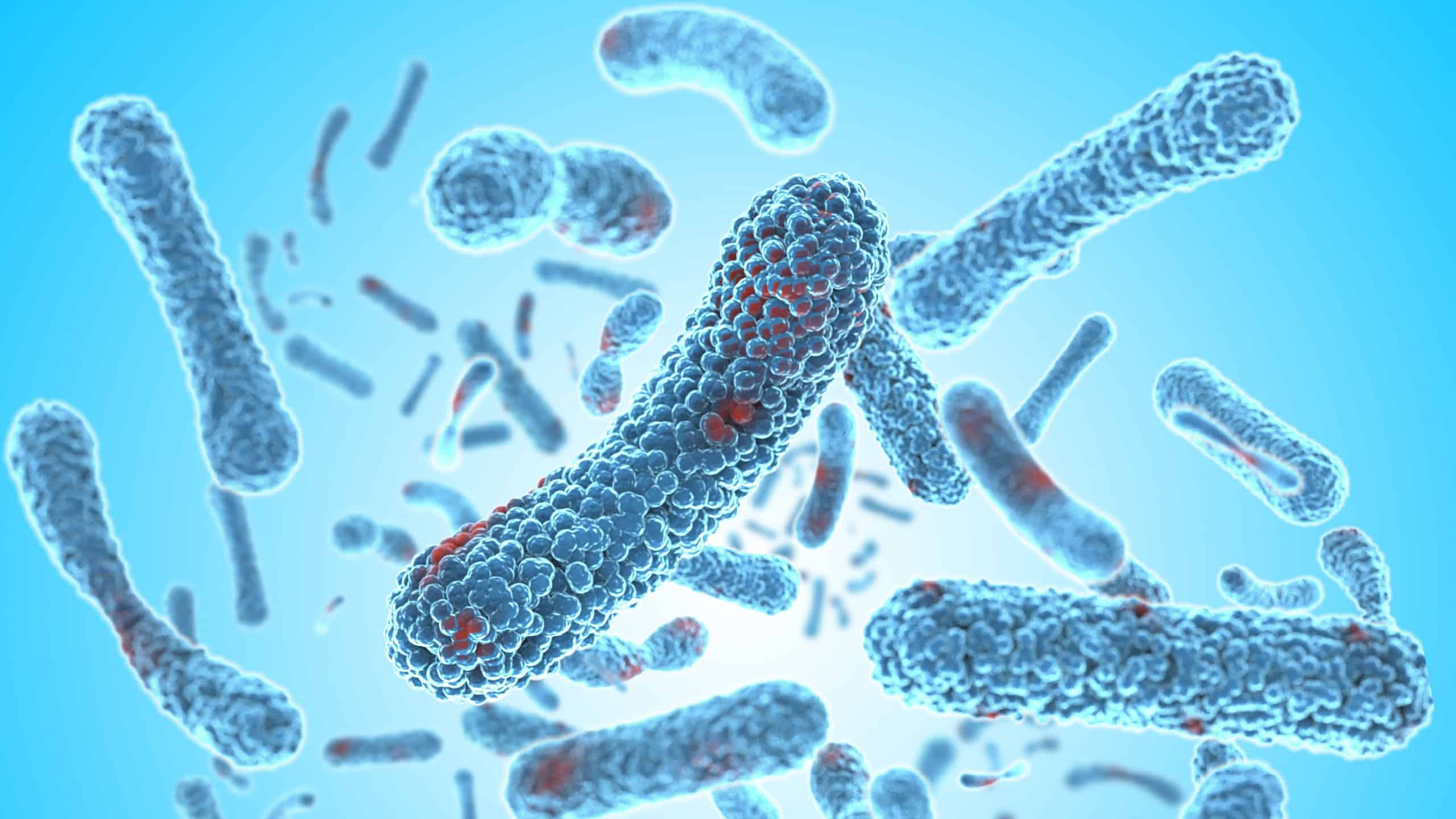 Microscopic bacteria background. Streptococcal (STSS). 3D rendering