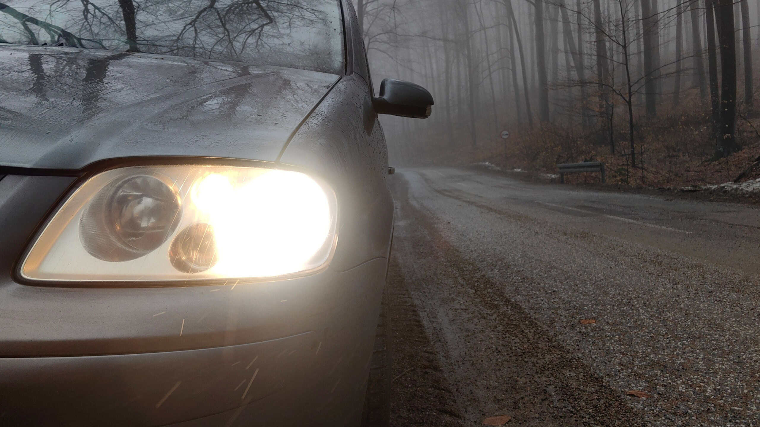 Bright headlights with fog light on the car in the forest on misty winter morning