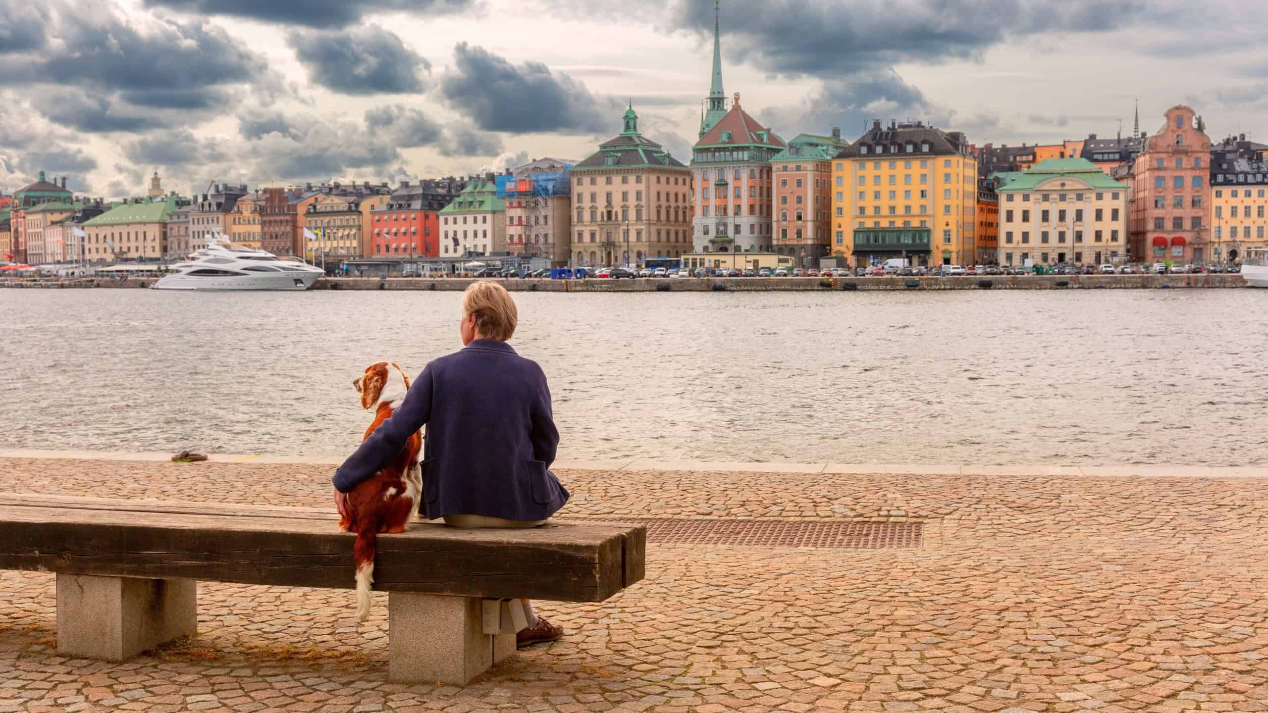 A woman sits on a wooden bench with her dog, facing the main embankment in Stockholm, Sweden.
