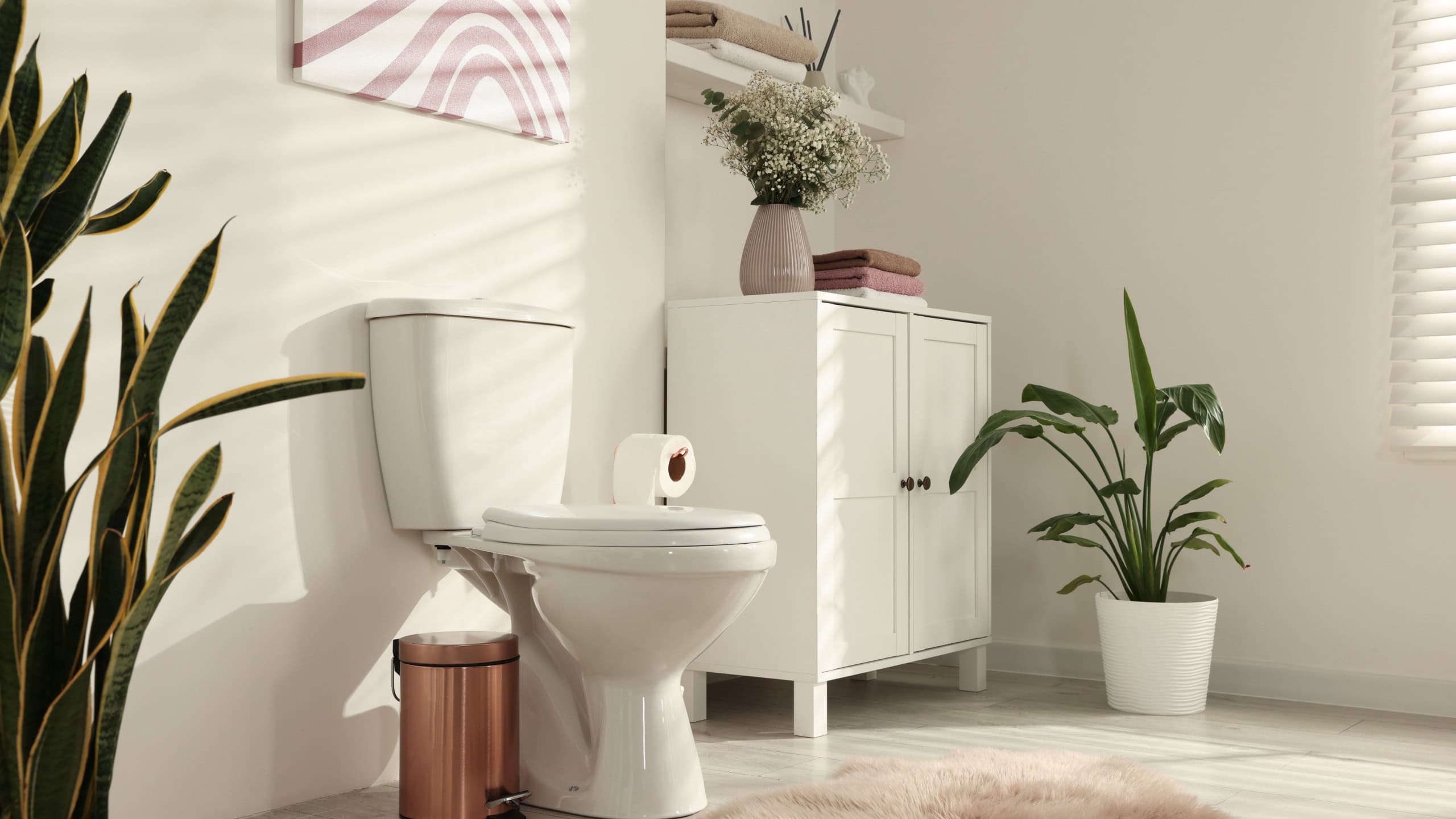 Ceramic toilet bowl, houseplants and necessities in restroom