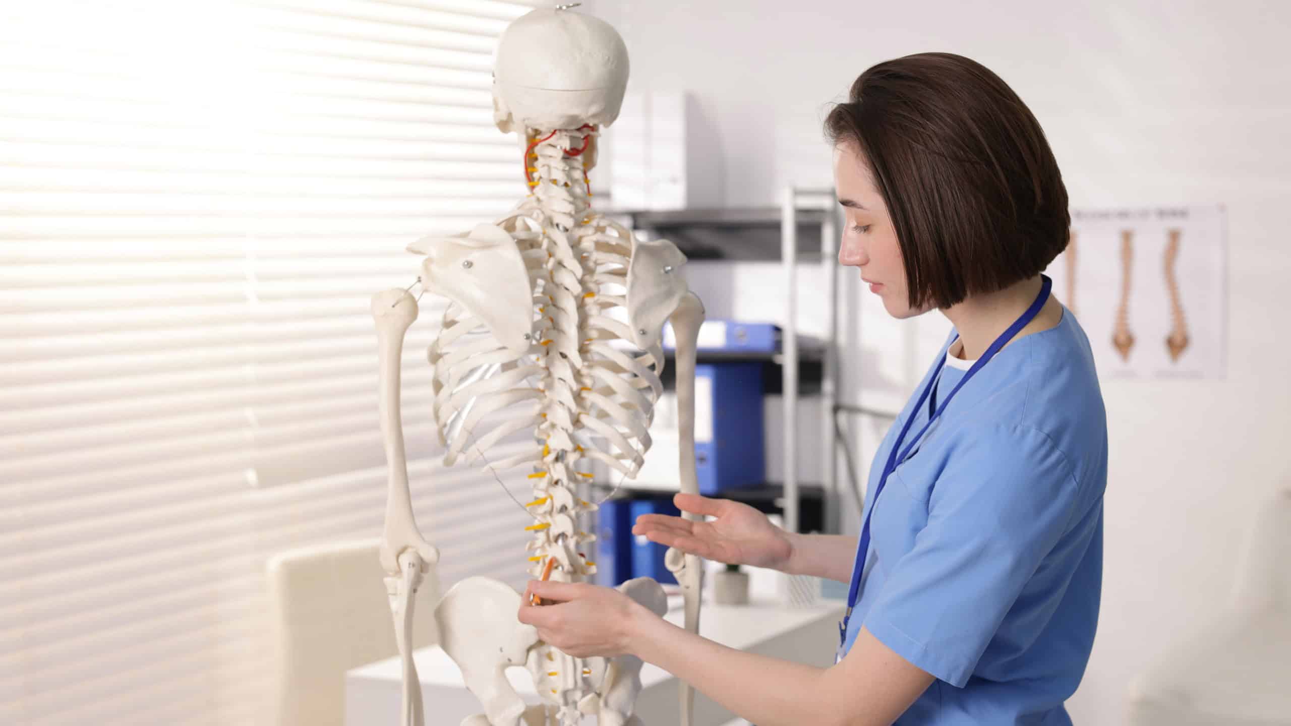 Doctor pointing at parts of human skeleton model in clinic