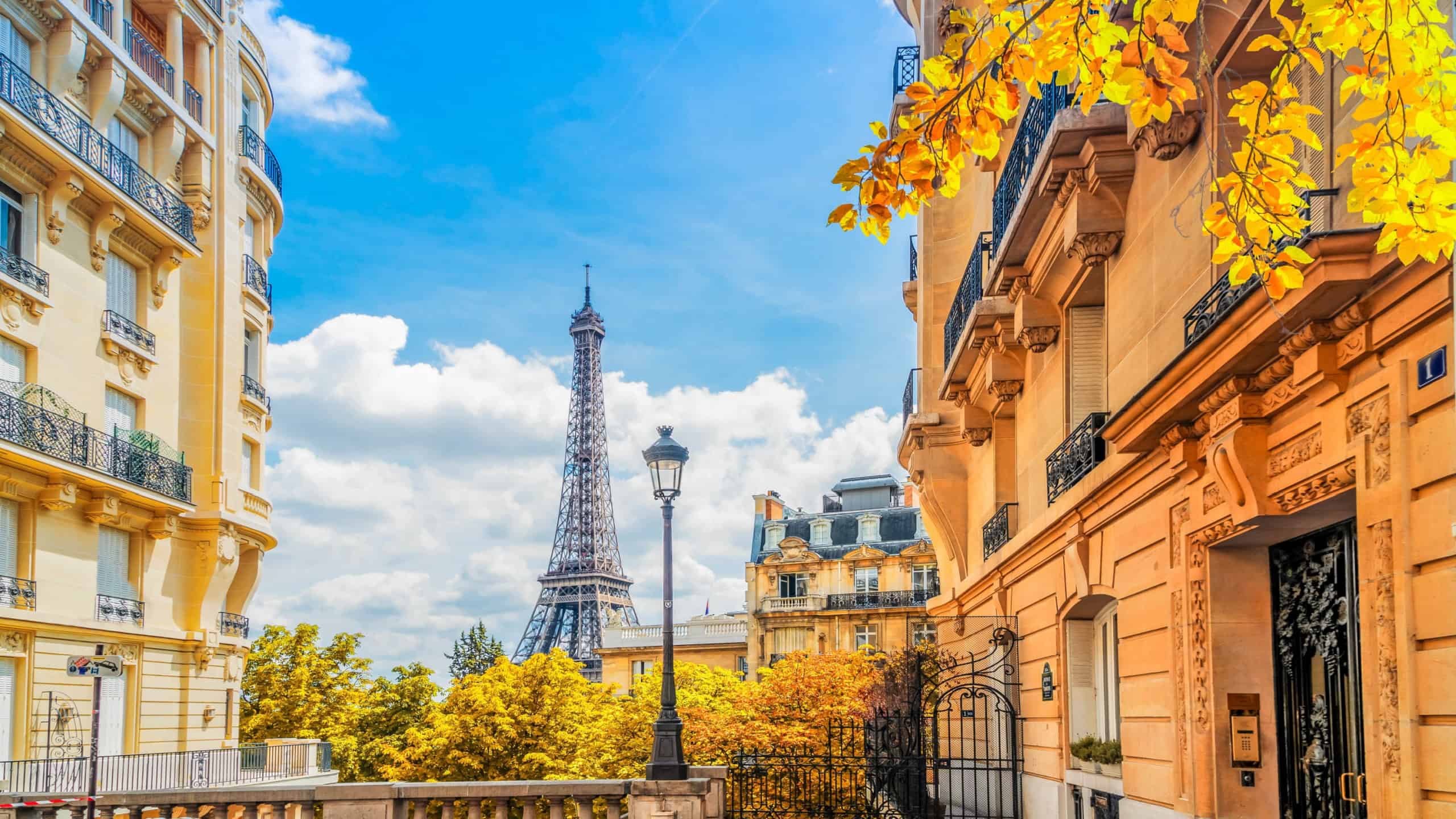 famous Eiffel Tower landmark and Paris fall street, Paris at autumn, France