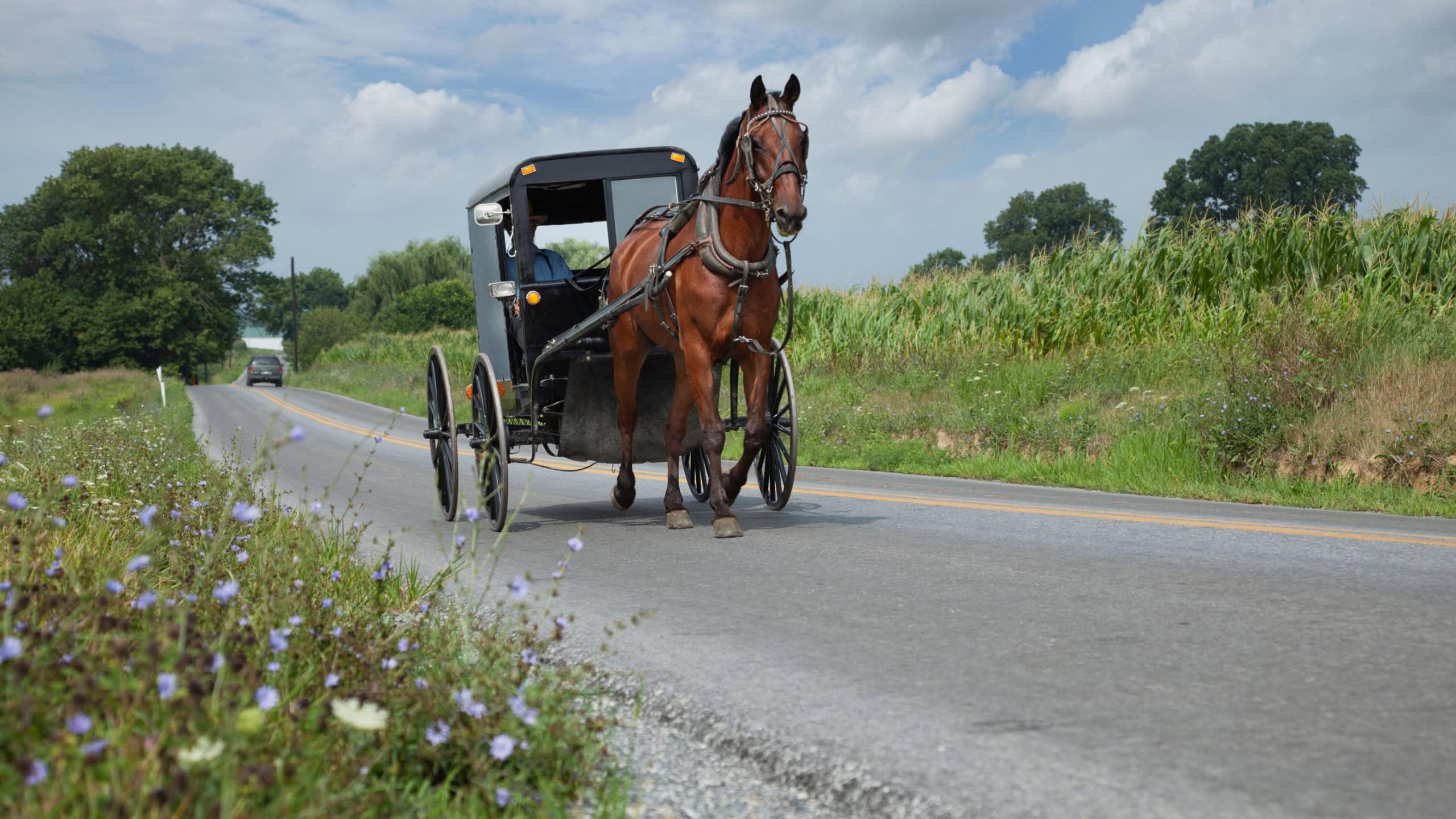 Amish buggy rolling down a rural road in Lancaster County Pennsylvania