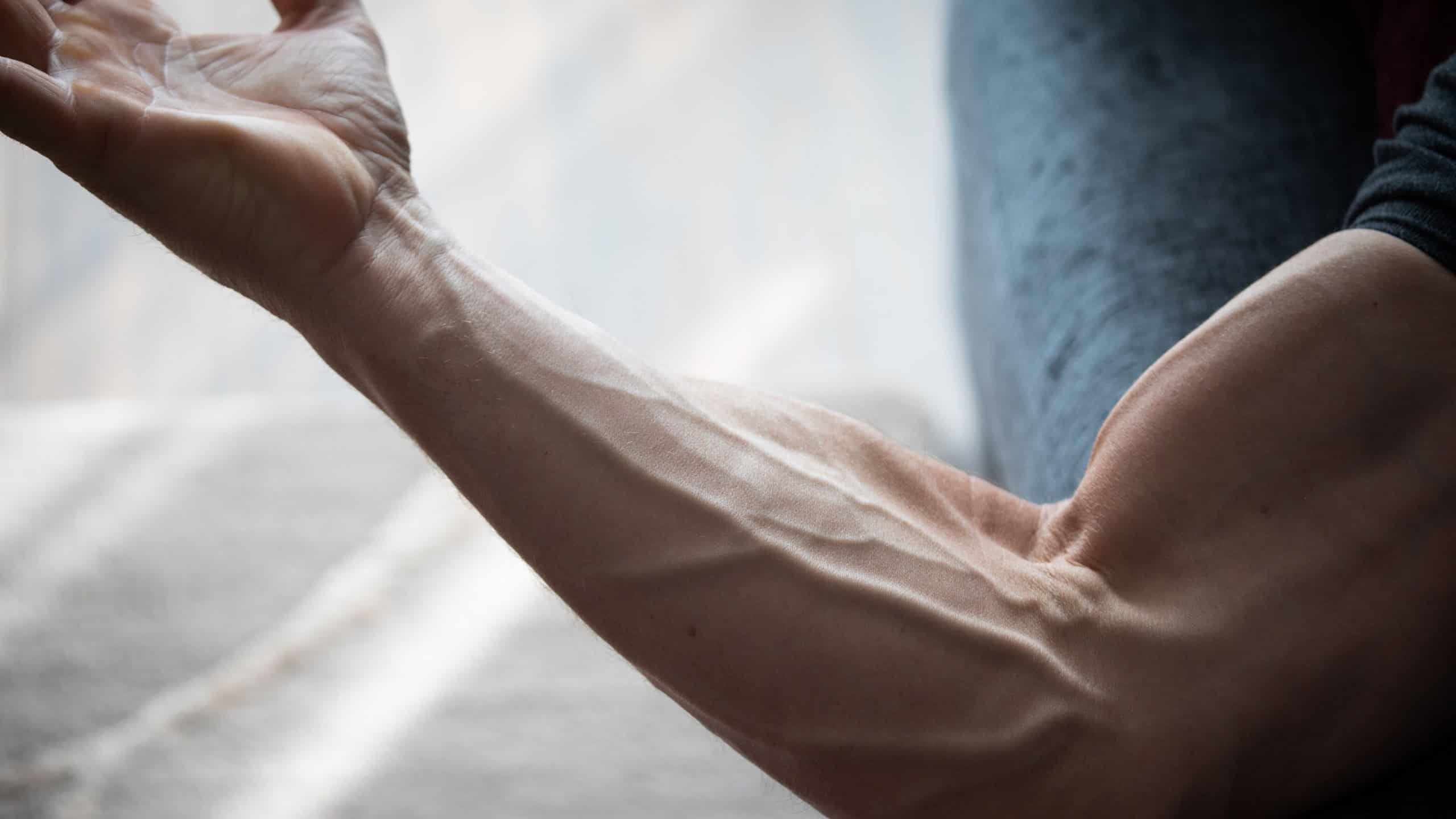 A close-up view of a muscular arm showing prominent veins.