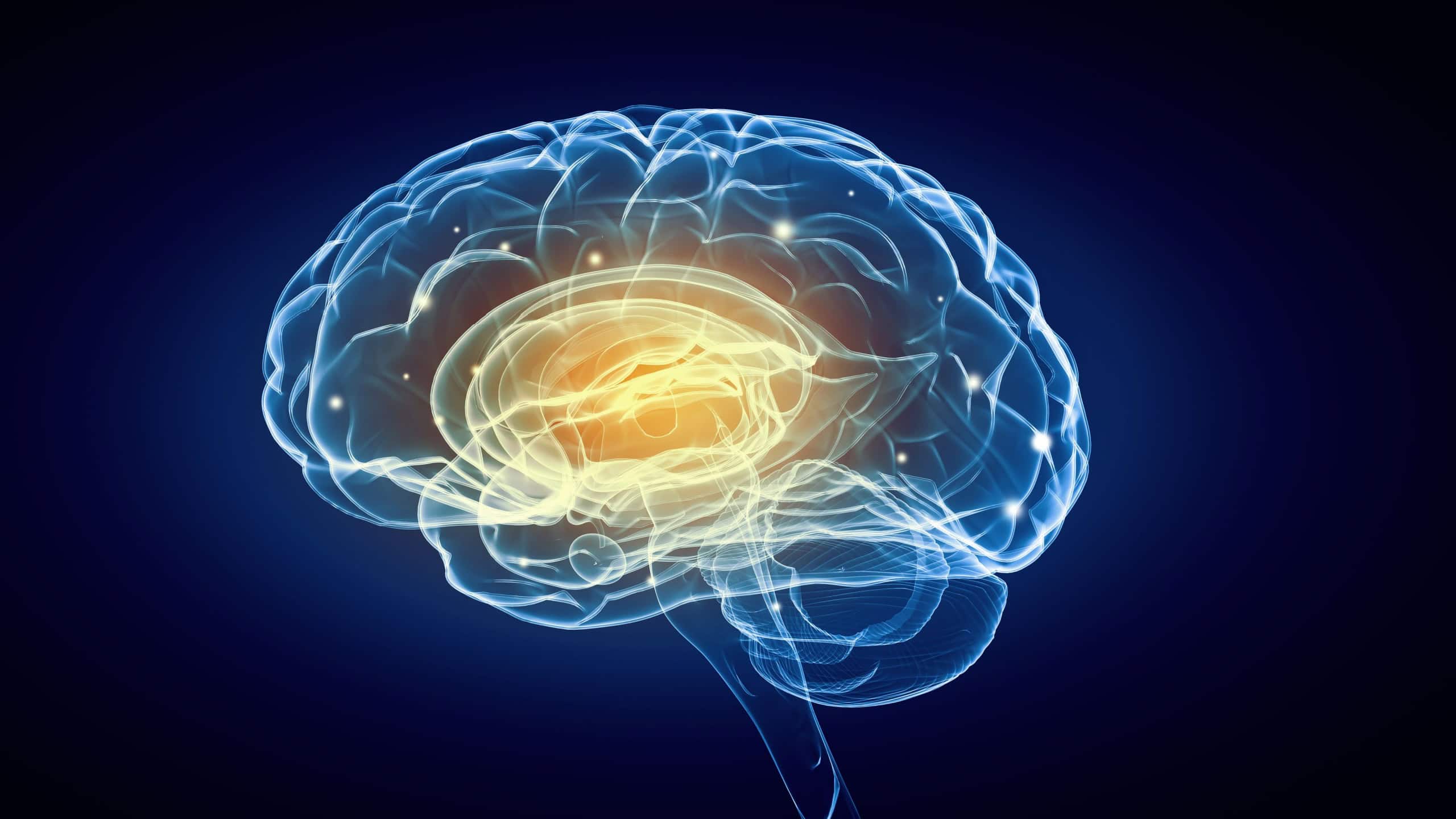 Concept of human intelligence with human brain on blue background