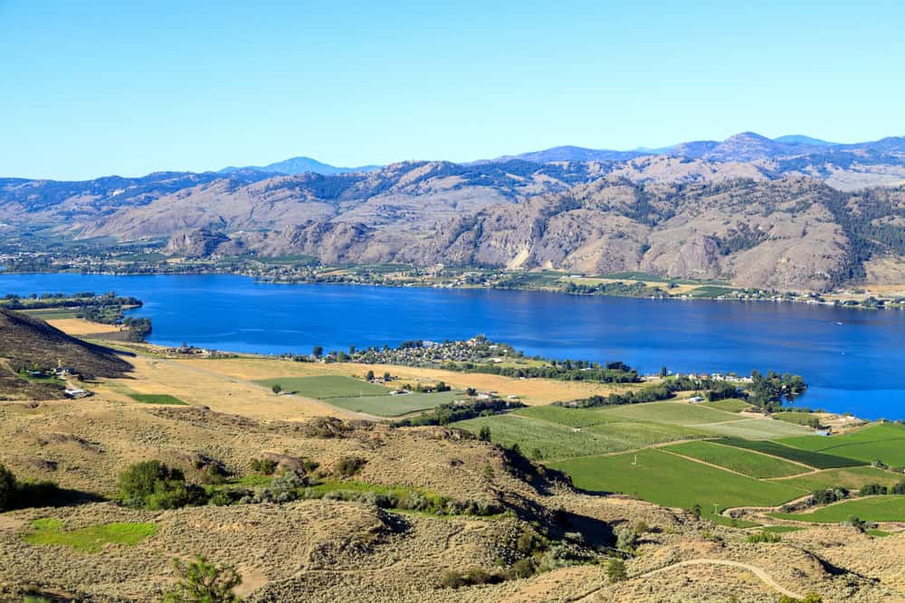 Canadian agricultural landscape aerial of a vineyard in the Okanagan Valley in Osoyoos, British Columbia, Canada.